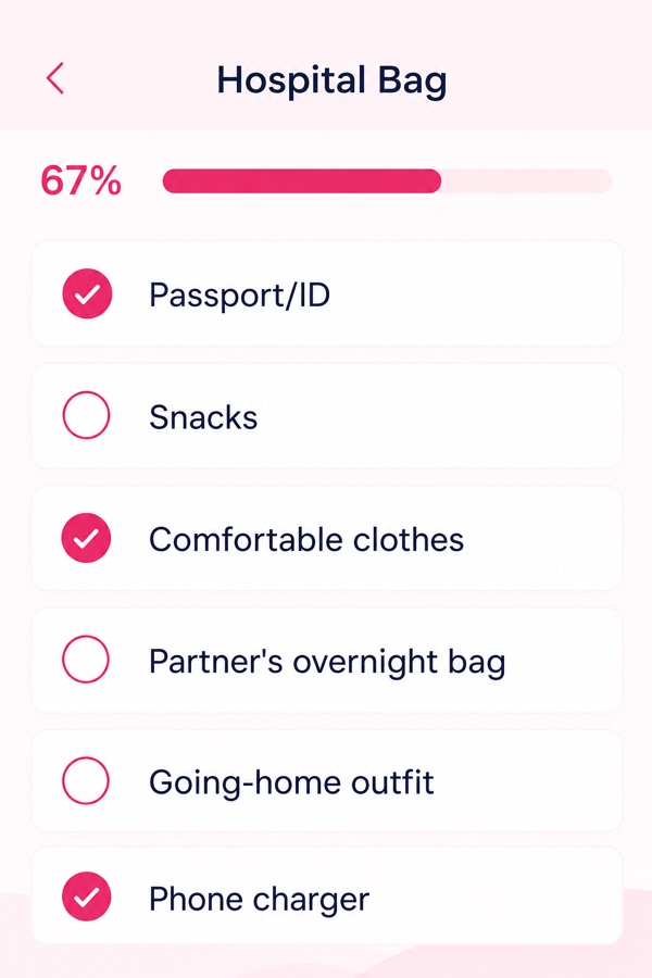BabyCheck Hospital Bag checklist with checked items